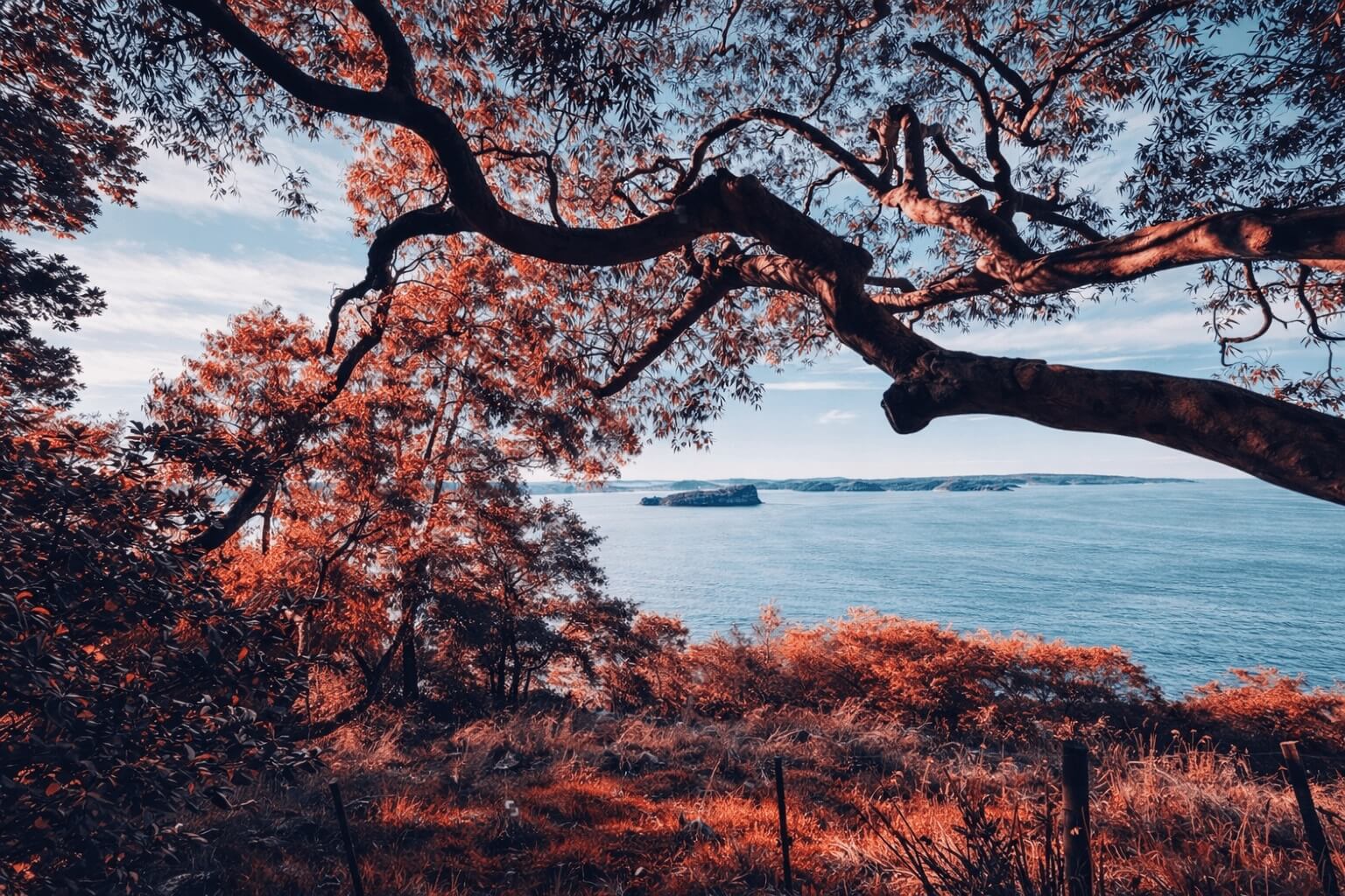 Central Coast Autumm