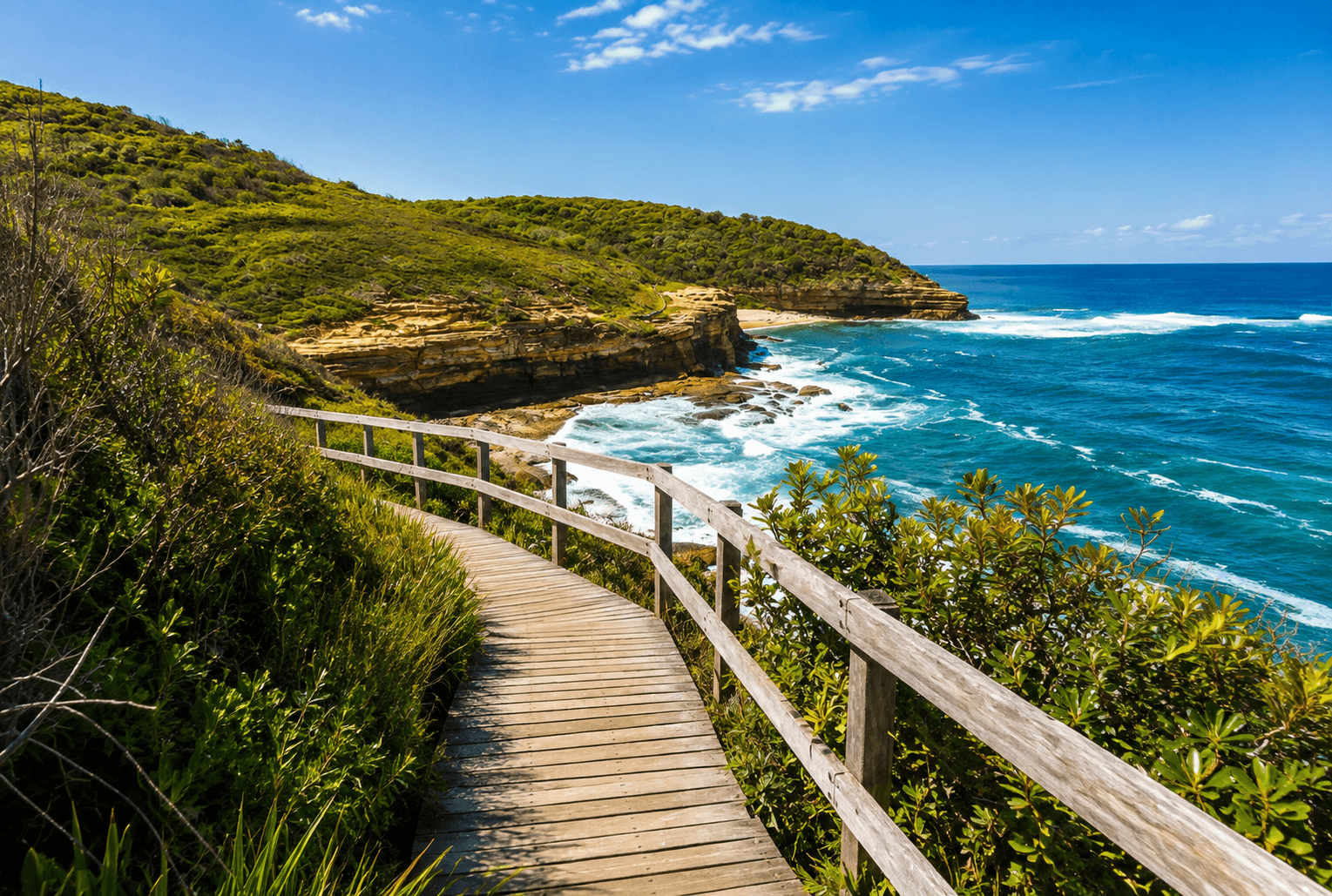 Spring on the Central Coast - Bouddi National PArk