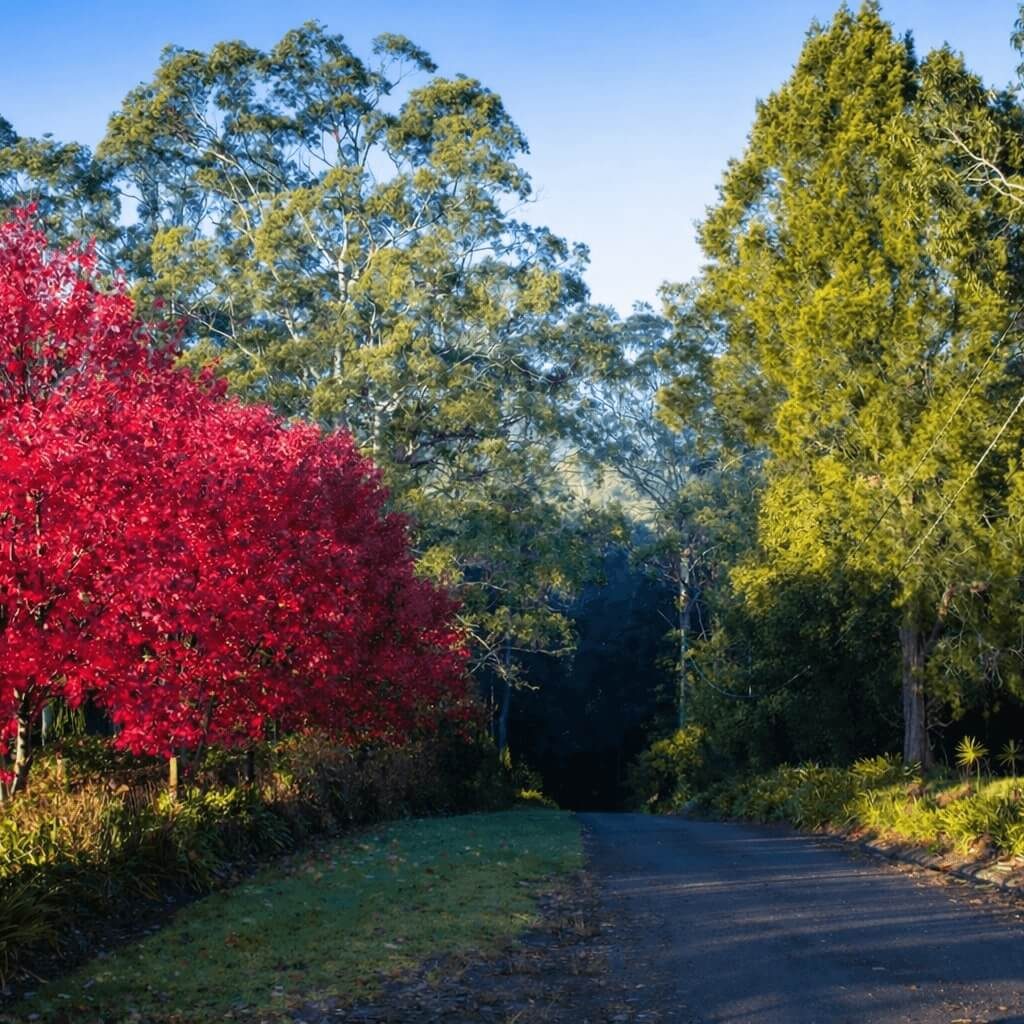 Holgate Autumn